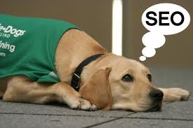 Хуульч Сандаг – Тэжээсэн нохойн хэлсэн нь